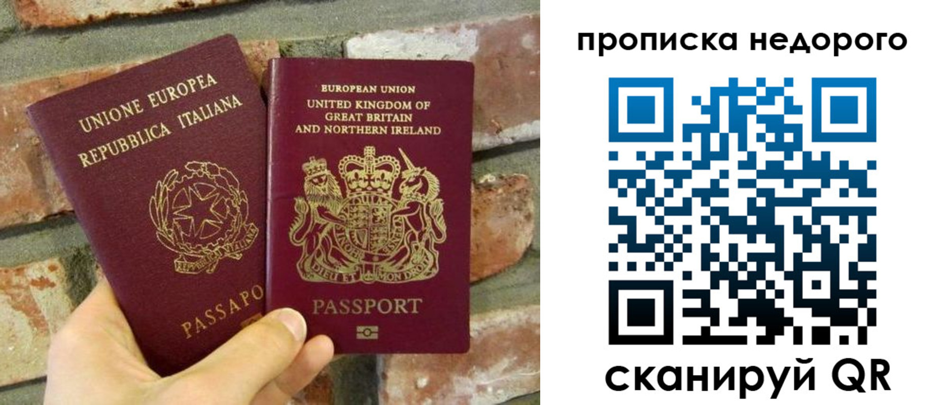 прописка поиск в Каргополе
